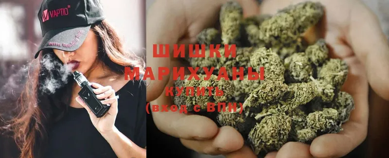 Бошки Шишки White Widow  МЕГА вход  Жердевка  где купить  